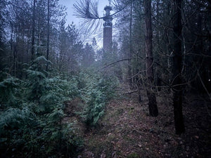 Exploring the Most Haunted Locations in Pye Green