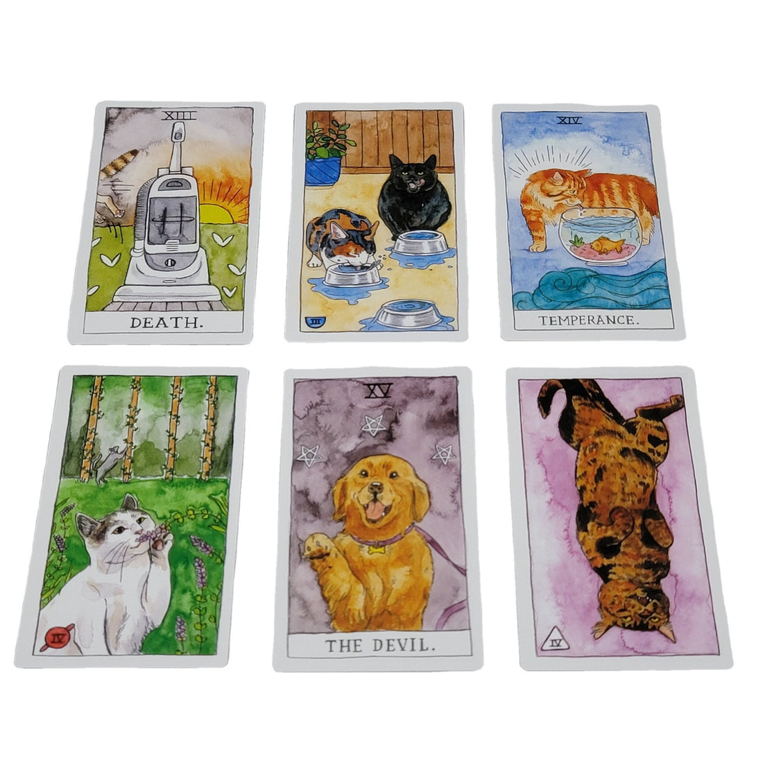 Cat Tarot Cards